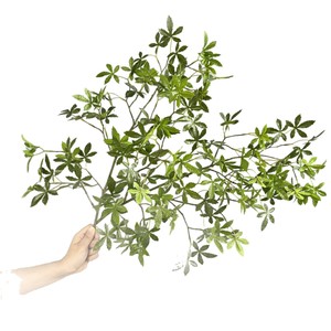Nouvel Arrivage Artificielle Japonaise Andromeda <span class=keywords><strong>Pieris</strong></span> <span class=keywords><strong>Japonica</strong></span> Tige Verdure Feuilles Latex Real Touch Décoration de boutique de mariage - Product Image 5