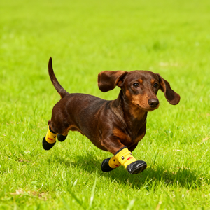 हॉट सेल फैशन लुभावनी सर्दियों गर्म कपास विरोधी पर्ची वाटरप्रूफ कुत्ते बूट्स के साथ बड़े कुत्ते के मोजे - Product Image 5