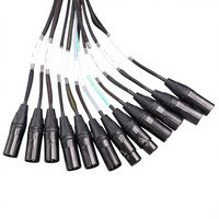 Câble multipaire XLR professionnel pour enceintes audio, boîtier de câblage 12 canaux XLR mâle vers femelle, câble répartiteur de 7,6 m avec gaine en PVC pour amplificateur de guitare