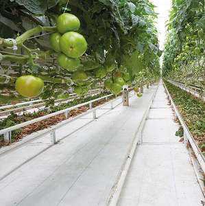 Toile de paillage paysagère anti-mauvaises herbes pour l'agriculture, Meilleure vente, 100% matière vierge PP tissé 100 g/m², Barrière anti-mauvaises herbes, Prix - Product Image 4