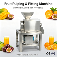 Industriële sapcentrifuge, automatische machine voor het maken van vers fruit (appel, wortel, mango, druiven, ananas) sap voor kleine bedrijven
