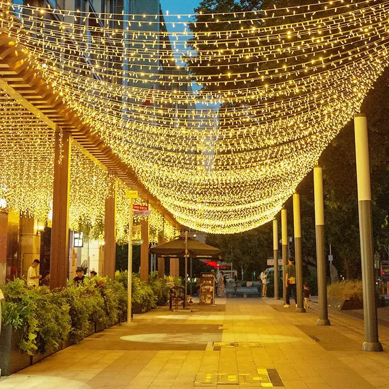 1000Leds Kleurveranderende Led-Lichtslingers Groothandel Veerbootverlichting Buiten Kerstfeest Bruiloft Kerstdecoratie