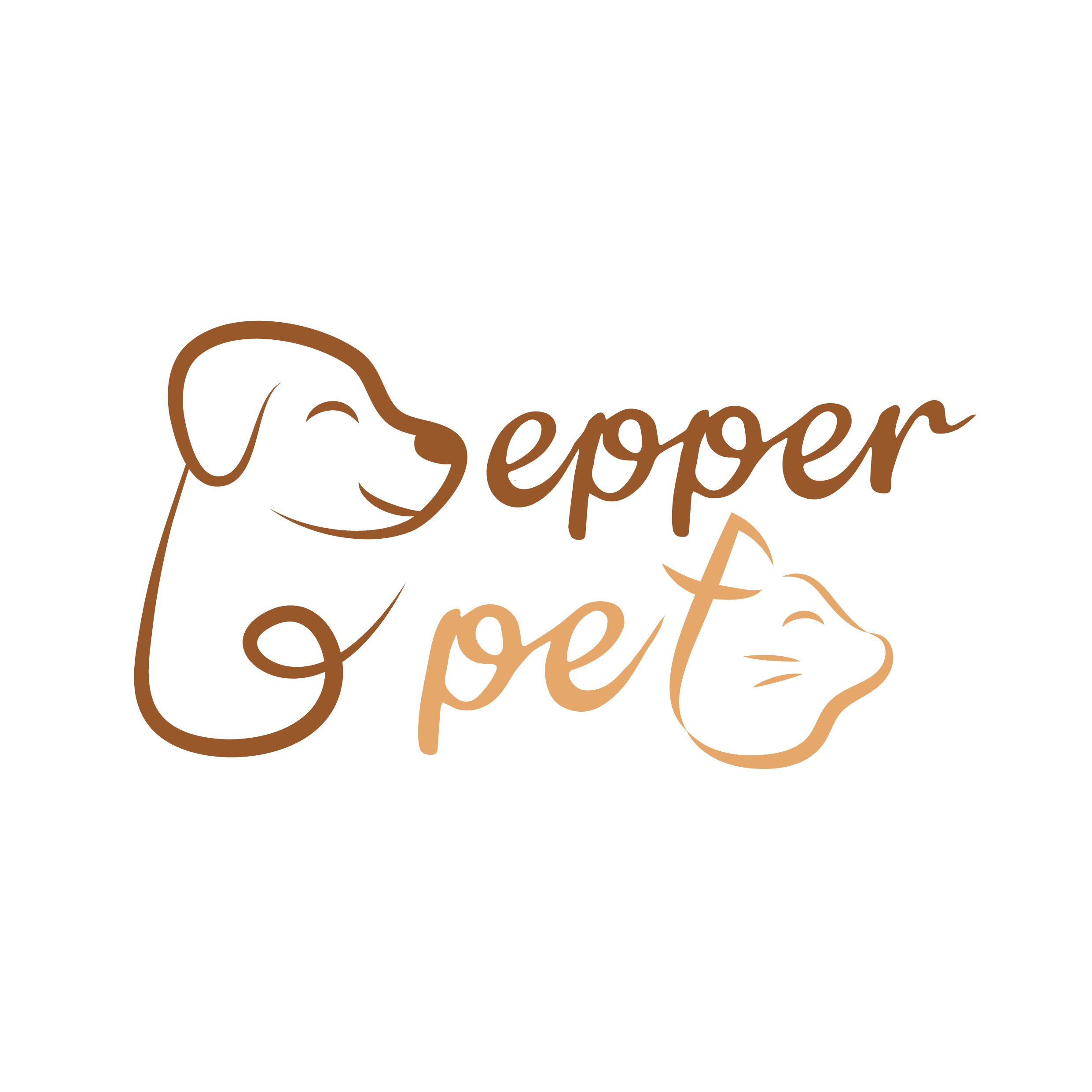 Pepper Industries (Shenzhen) Co., Ltd. logo