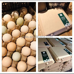 Degradable material respetuoso con el medio ambiente de bajo costo pulpa 30 Uds de cartón de huevo punto entrega rápida a los fabricantes para la granja. - Product Image 5