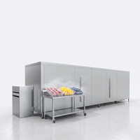 Professionele IQF Fluidized Freezer voor uniforme vriezing van gesneden wortelen en champignons, hoge kwaliteit, hoge productiviteit verwerkingslijn