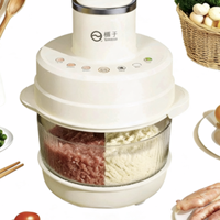 Hachoir à viande et batteur à pâte multifonctionnel en acier inoxydable 5L avec 3 vitesses, 500W, structure sur pied/à table, crochet pétrisseur