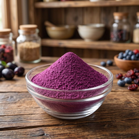 Hoogwaardig Nutrajun gevriesdroogd zwart Jamun fruitpoeder 100% zoete smaak veganistisch voedselingrediënt clean label bulk levering