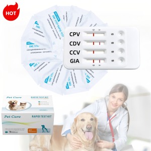 Bác sĩ thú y phòng khám CPV CDV CAV CIV <span class=keywords><strong>Ag</strong></span> ccv CRV cpyto toxo bệnh dại Giardia Combo kháng nguyên nhanh chóng chăm sóc vật nuôi Dog <span class=keywords><strong>Kit</strong></span> kiểm tra cho chó - Product Image 1