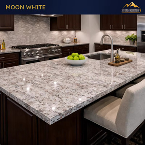 Losas de Granito Blanco Luna de 2 cm Pulido |   Granito Indio Gris Claro para Encimeras y Pisos |   Calidad de Exportación - Product Image 4