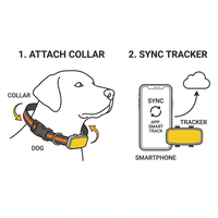 Traceur GPS Cutepet AI 4G Beidou avec surveillance de la santé, suivi en temps réel, fréquence cardiaque, étanche IP67 pour chats et chiens