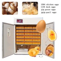 Prix ​​bas ! Incubateur à œufs solaire entièrement automatique 1500 œufs Machine combinée d'éclosion