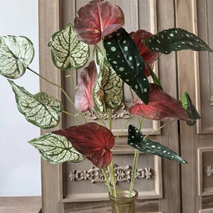 KW-F183 ใบไม้ประดิษฐ์ 5 <span class=keywords><strong>ก้าน</strong></span> ใบเบโกเนียหลาก<span class=keywords><strong>สี</strong></span> ใบคาลเลเดียมประดิษฐ์ สำหรับตกแต่งงานแต่งงานและงานจัดดอกไม้ - Product Image 1