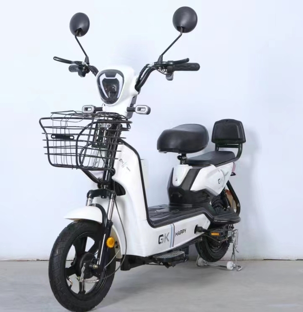 Electric Bike Electric Bicycle Electric City Bike E Bike Motorcycle