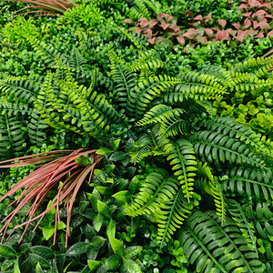 Tùy chỉnh thiết kế nhựa chọn cỏ và hoa tùy chỉnh-thực hiện Faux Plant Panel tường cuộn lên Hoa Tường - Product Image 2