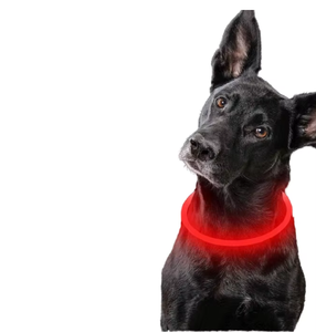 2025 새로운 디자인 빛나는 LED USB 충전식 애완 동물 개 목걸이 빛 칼라 여러 가지 빛깔의 조명 깜박이는 애완 동물 고양이 개 LED 칼라 - Product Image 1