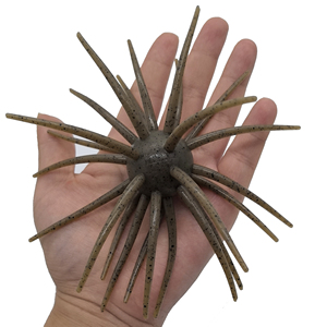 Leurre souple TPE style Coike en forme d'ormeau à pointes 25mm/16g 32mm/25g pour la pêche <span class=keywords><strong>au</strong></span> bar avec montages Ned Rig et <span class=keywords><strong>Drop</strong></span> <span class=keywords><strong>Shot</strong></span> - Product Image 3