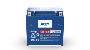 Batería de Plomo-Ácido Sellada sin Mantenimiento de Alta Calidad Liyon Brand 6MF14 12V 14AH para Motocicleta, Etiqueta Azul y Etiqueta Negra - Product Image 1