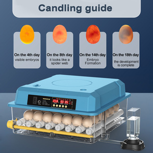 Incubadora de Huevos con Capacidad para 192 Huevos, Control de Temperatura y Humedad, Indicador de Días de Incubación, Volteo Automático de Huevos - Product Image 3
