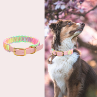 Kalung Anjing PVC Kepang Pelangi, Dapat Disesuaikan, Warna-Warni, dengan Gesper Emas OEM/ODM