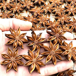 Anice Stellato Rosso: Materia Prima per Estrazione di Oli Essenziali di Alta Qualità, Spezie ed <span class=keywords><strong>Erbe</strong></span>, Vendita all'Ingrosso, Esportazione Diretta dalla Fabbrica - Product Image 3