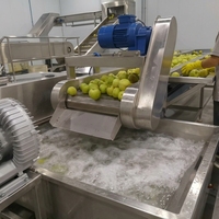 Turnkey tropische fruitverwerkingslijn voor passievrucht, guave, ananas: automatisch wassen, extraheren, UHT-vullen, compleet.