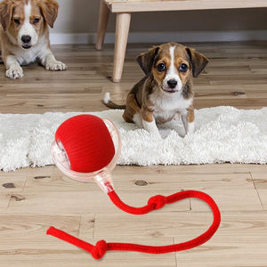 Slimme Huisdier Speelgoed 360 Automatische Interactieve Hond & Kat Kauwspeelgoed Siliconen PC USB Oplader Rolbal - Product Image 5