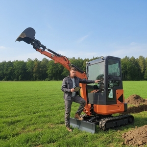 Direct usine - Mini-excavatrice de 2,5 tonnes pour projets de bricolage à domicile, prix d'usine, livraison gratuite - Product Image 4