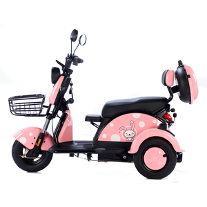 Vente en gros 600W 48V Tricycle cargo électrique vélo électrique longue portée Ebike 3 roues Scooter électrique - Product Image 6