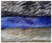 Tissu en fourrure tissée à poils longs 100% polyester, largeur 160 cm, pour vêtements d'hiver, 60/70, 625 GSM