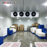 Système de refroidissement conteneurisé pour conteneur maritime de 40 pieds, chambre froide pour le refroidissement du lait en conteneur pour produits laitiers