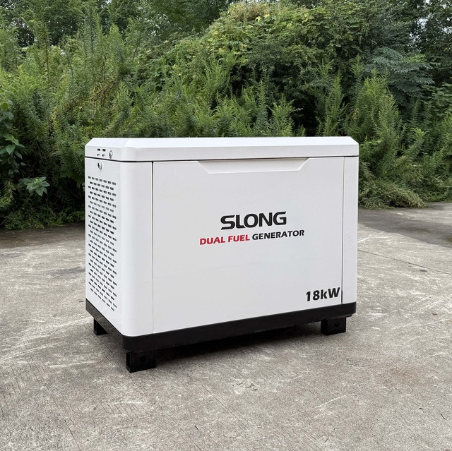 15kw 20kw 30kw Silent Powerful Dual Fuel Generator LPG Natural Gas Gasoline Electric Start Generator Set