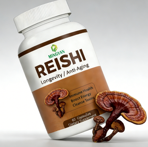 Extrait de Reishi Biologique OEM/ODM, Poudre d'Extrait de Champignon, Complément Alimentaire en Capsules, Poudre de Spores de Ganoderma Lucidum, Soutien Immunitaire - Product Image 2