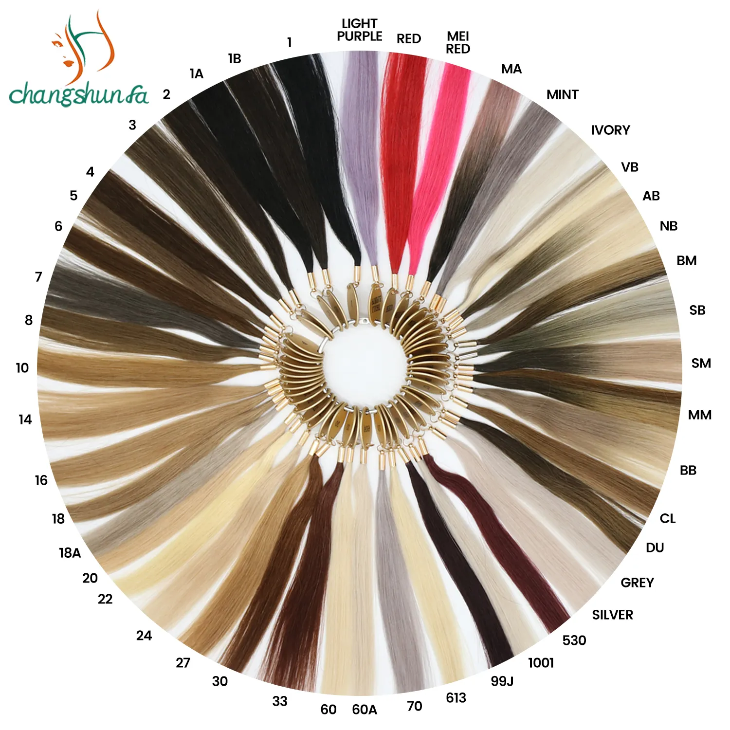 Mix Balayage die vollsten und schönsten 45 Farben Haar verlängerungen Color Matching Wheel Ring Color Swatch