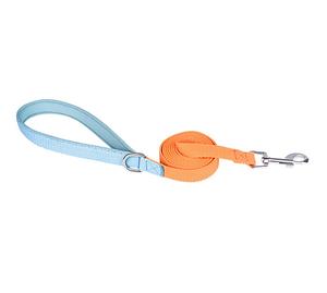 Nuevo diseño Contraste Color Hebilla transparente Mascotas Gato Perro Correas y collares - Product Image 3