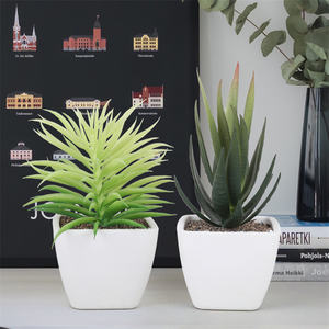 Faux Mini piante succulente artificiali <span class=keywords><strong>in</strong></span> <span class=keywords><strong>vaso</strong></span> <span class=keywords><strong>di</strong></span> <span class=keywords><strong>Cactus</strong></span> Aloe Vera Crassulaceae succulente per matrimonio <span class=keywords><strong>in</strong></span> giardino, decorazione per la casa tavolo - Product Image 6