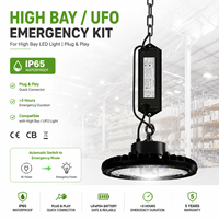 Controlador LED de Emergencia Plug&Play de 5W 10W para Lámpara Industrial UFO de Gran Altura, 30-250Vdc, Carcasa de Aluminio para Batería LiFePO4, 3 Horas, CE CB, Defensa Civil