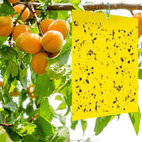 Pièges collants tendance pour le jardinage, autocollants jaunes double face anti-insectes, propres et inodores, indispensables pour la lutte antiparasitaire domestique