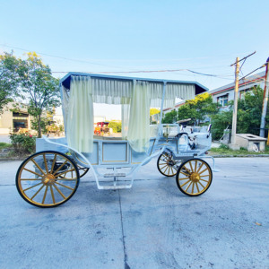 Nouvelle Carrosse de Mariage de Luxe Blanche avec 4 Roues en Acier, Idéale pour les Visites Royales et les Voitures à Chevaux - Product Image 2