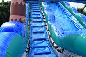 Toboggans aquatiques gonflables géants à double voie avec palmier tropical et piscine pour enfants et adultes pour parc d'attractions - Product Image 3