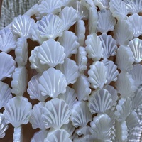 11mm 13mm gros naturel blanc coquille nacre brin Palmetto ventilateur cauri charme perles fabrication de bijoux perles en vrac