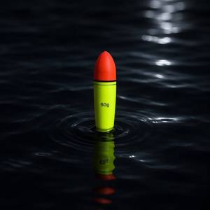 <span class=keywords><strong>Flotteur</strong></span> de pêche professionnel <span class=keywords><strong>en</strong></span> EVA pour longue portée, avec trou central <span class=keywords><strong>coulissant</strong></span>, pour la pêche <span class=keywords><strong>en</strong></span> <span class=keywords><strong>mer</strong></span> et <span class=keywords><strong>en</strong></span> roche, 10g-120g, bouée électronique lumineuse à dérive - Product Image 5