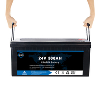 Ventes Flash Batteries Lithium-ion 24V 12V 48V 51.2V 50Ah 100Ah 200Ah 300Ah 400Ah Batteries de Stockage d'Énergie LiFePO4 Avec BMS