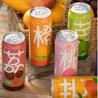 RICO 490ml Litchi Sap Drank Frisdrank Groothandel Bulk Exotische Fruitdrank Natuurlijke Smaak