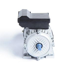 Motor de CA Monofásico Esencial de 50Hz para Uso Doméstico e Industrial, Velocidad de 2800 rpm, Carcasa de Aluminio, Varias Aplicaciones - Product Image 1