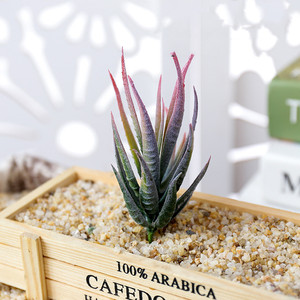 Nuovo disegno faux live <span class=keywords><strong>piante</strong></span> succulente <span class=keywords><strong>artificiali</strong></span> - Product Image 2