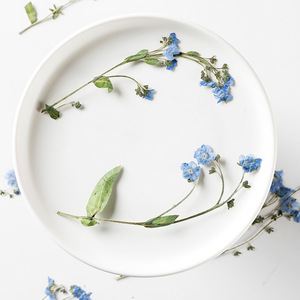 Fleurs séchées bleues naturelles Forget-Me-Not avec tige Don't Forget Me Fleur pressée pour l'artisanat, art en résine - Product Image 1