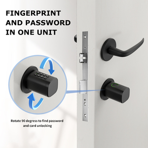 Euro easy <span class=keywords><strong>replacement</strong></span> fingerprint passcode chiave AAA batterie digitale elettronica tuya card cilindros in ottone smart lucchetto a cilindro - Product Image 3