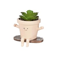 Vente chaude Creative Swing Planteur Pot Sourire Visage Résine pour Succulente Fleur Affichage Balcon Murs Hotsell Printemps Décoratif