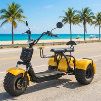 Scooter électrique à gros pneus certifié EEC 2000W, 3 roues, Citycoco, batterie lithium 60V, grosse roue, moto électrique pour adultes