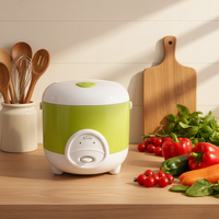 Cuisinière à riz électrique personnelle de petite taille de qualité professionnelle avec revêtement antiadhésif, portable et écologique, capacité de 2,1 à 3,0 L